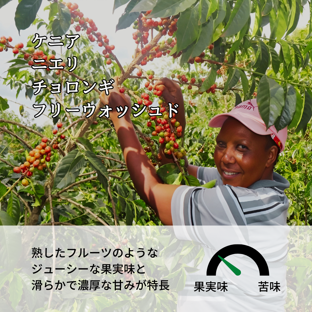 ケニア ニェリ AB チョロンギ ウォッシュド