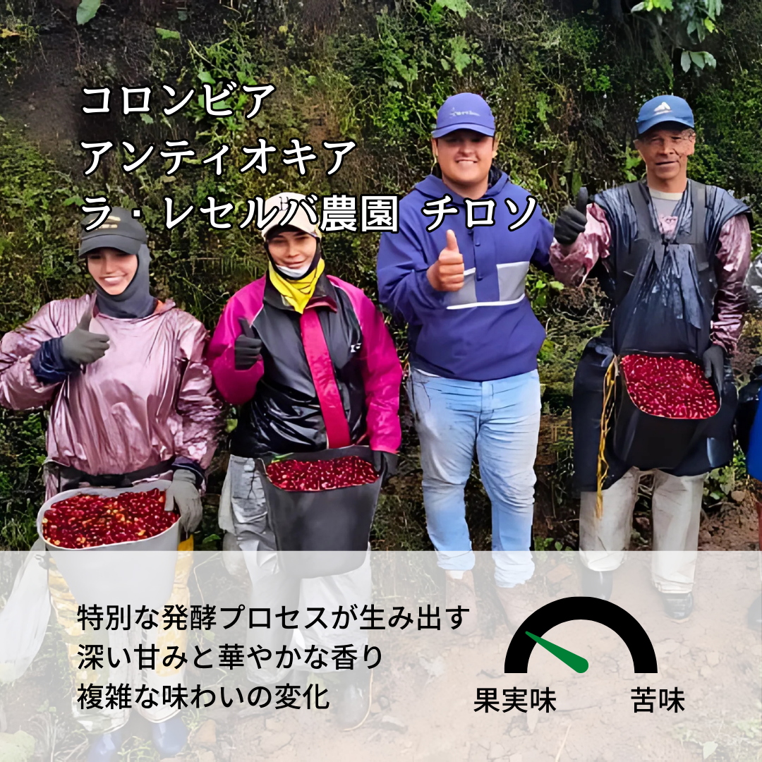 コロンビア アンティオキア ラ・レセルバ農園 チロソ