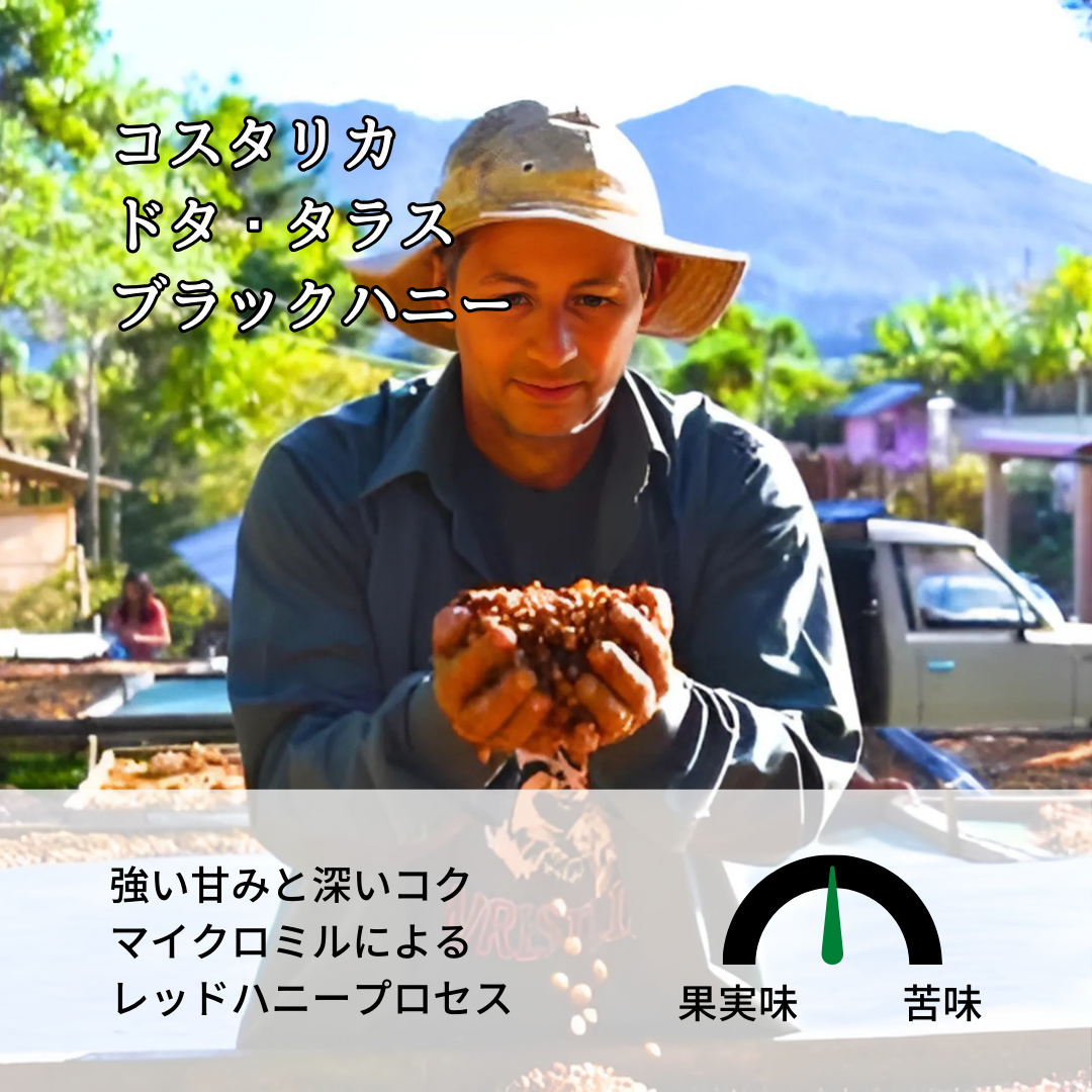 コスタリカ タラス ブラックハニー