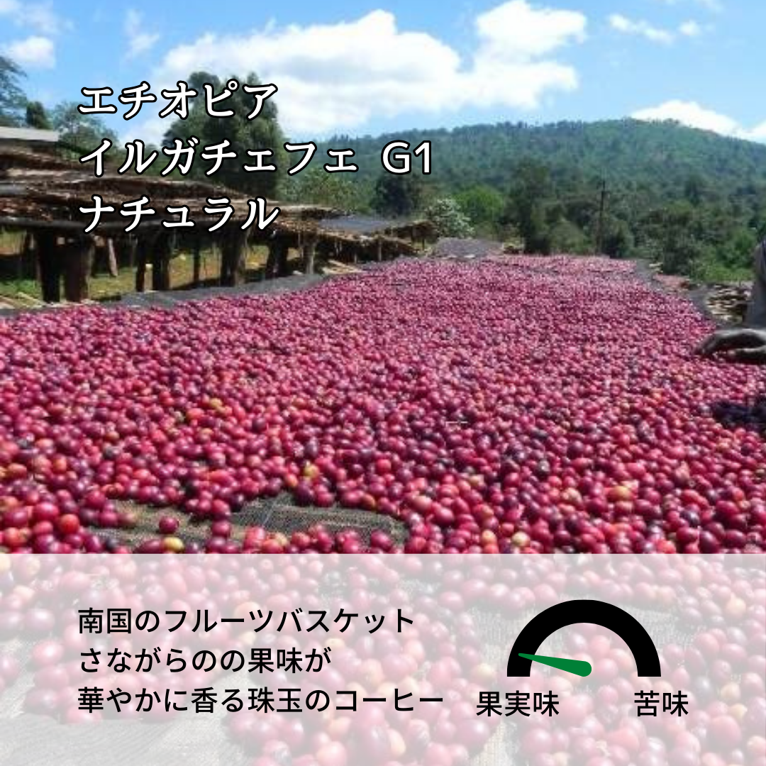 エチオピア イルガチェフG1 ナチュラル ゲデブ ゴチチ