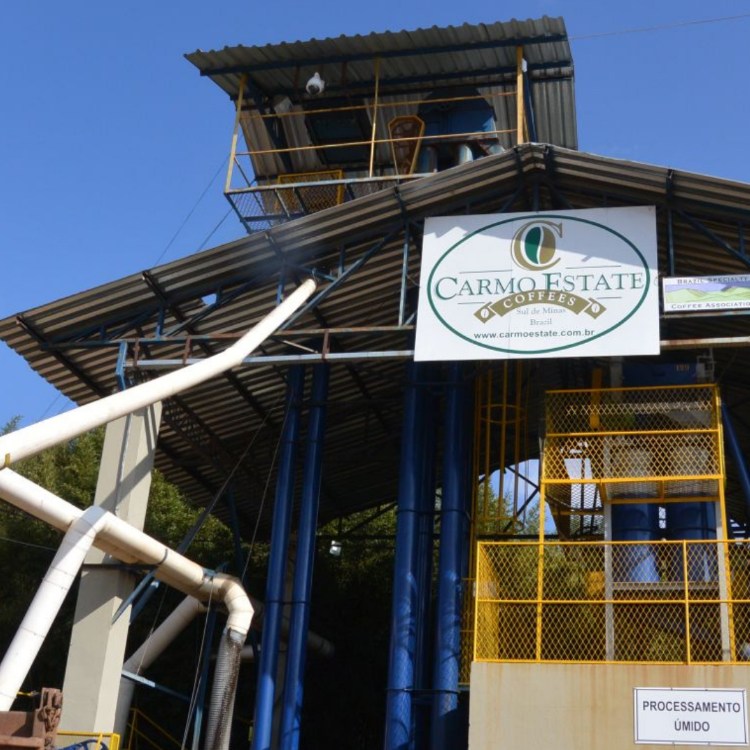 ブラジル ミナスセライス カルモ農園 ナチュラル