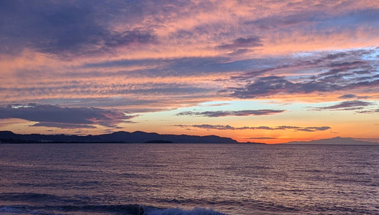 ローカルデリバリー終了のお知らせ
