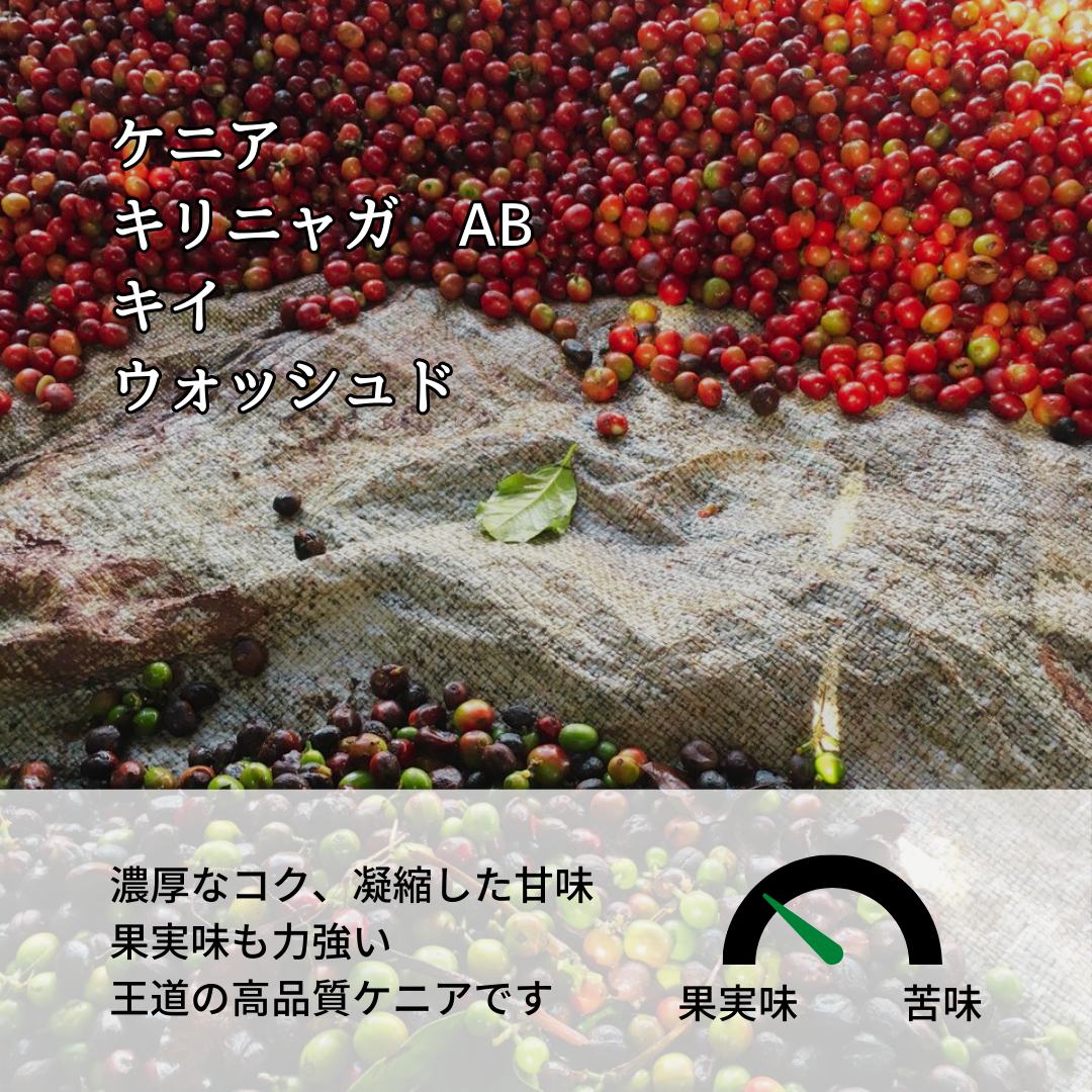 ケニア キリニャガ AB キイ ウォッシュド