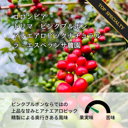 コロンビア トリマ ラ・エスペランサ農園 ピンクブルボン アナエアロビック