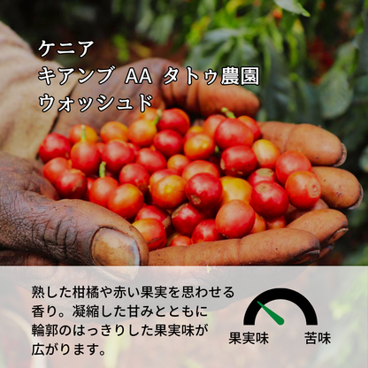 ケニア キアンブ AA タトゥ農園 ウォッシュド｜Botarhythm のスペシャルティコーヒー豆