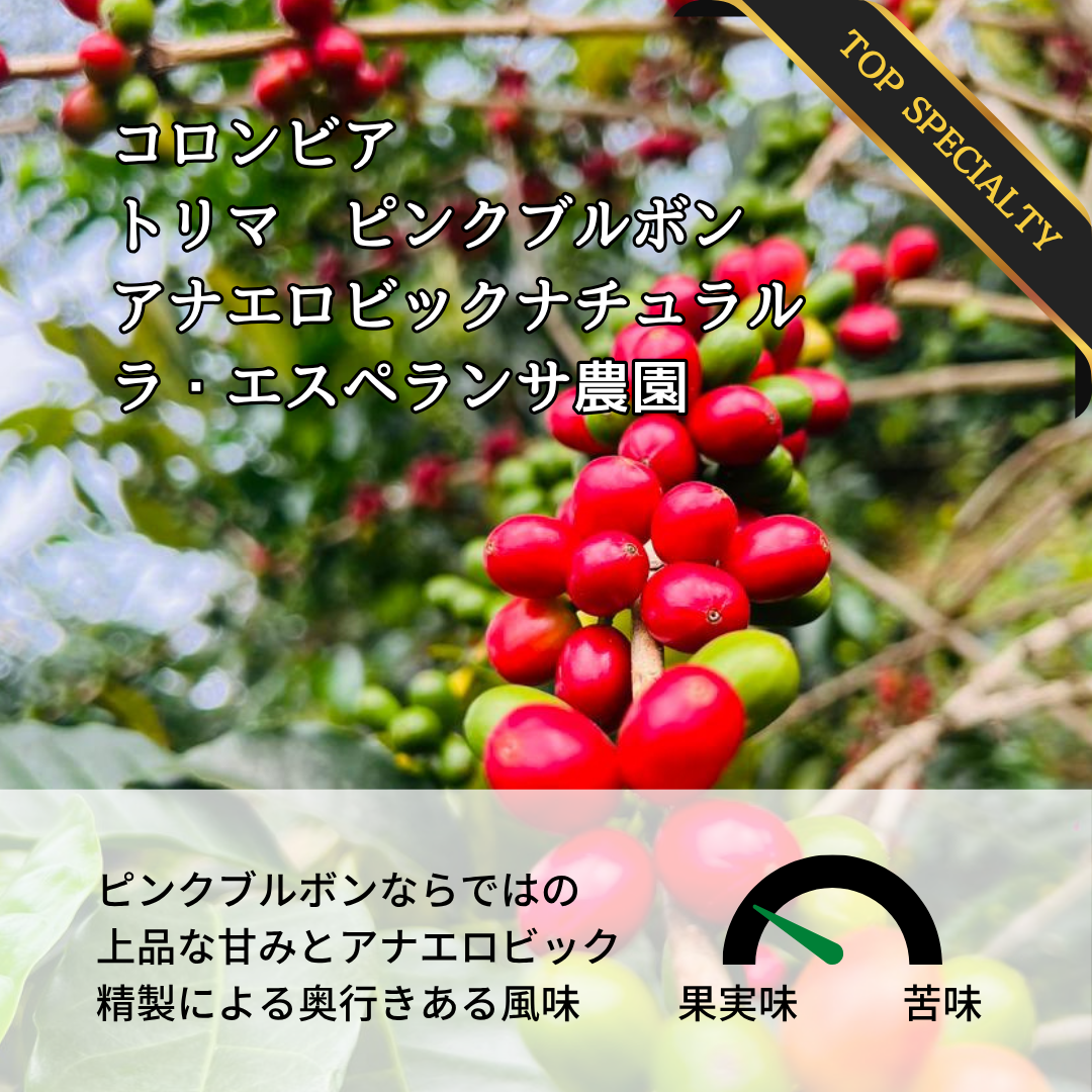 コロンビア トリマ ラ・エスペランサ農園 ピンクブルボン アナエロビック｜Botarhythm のスペシャルティコーヒー豆