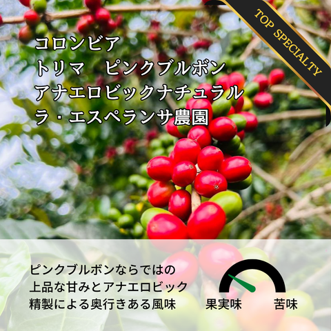 コロンビア トリマ ラ・エスペランサ農園 ピンクブルボン アナエロビック｜Botarhythm のスペシャルティコーヒー豆