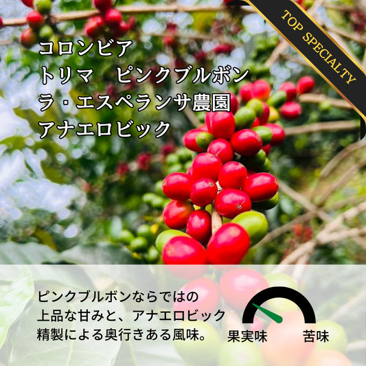 コロンビア トリマ ラ・エスペランサ農園 ピンクブルボン アナエロビック