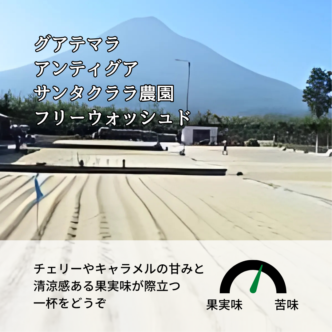 グアテマラ アンティグア サンタクララ農園 ブルボン フリーウォッシュド