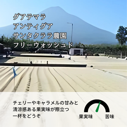 グアテマラ アンティグア サンタクララ農園 ブルボン フリーウォッシュド