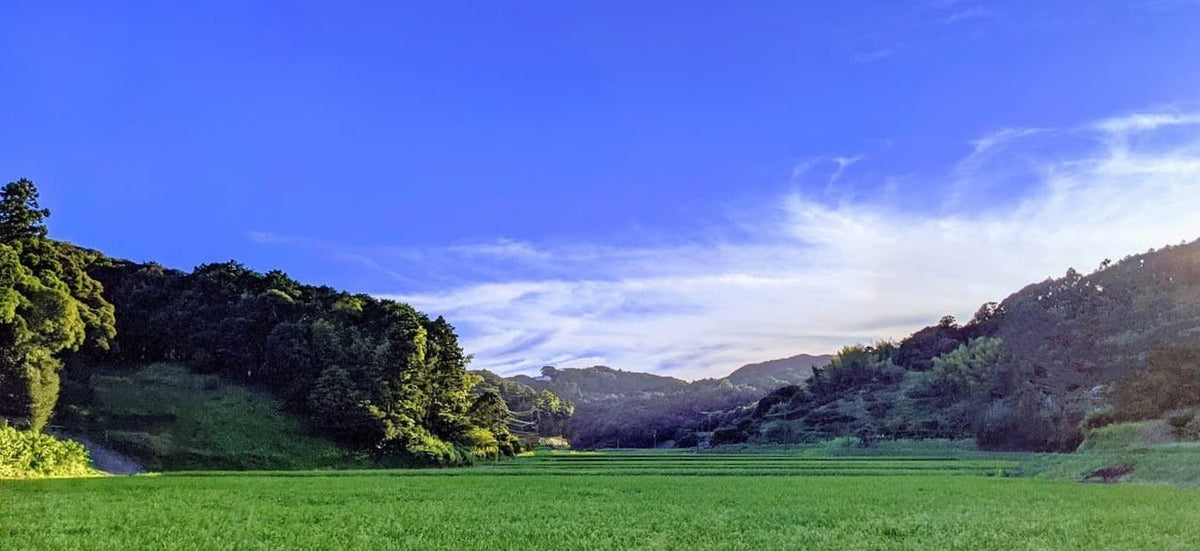 里山・季節の植生
