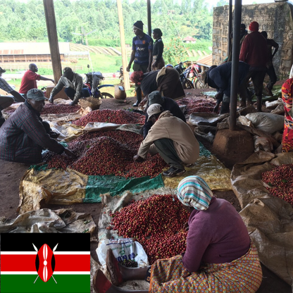 ケニア キリニャガ AB キイ ウォッシュド