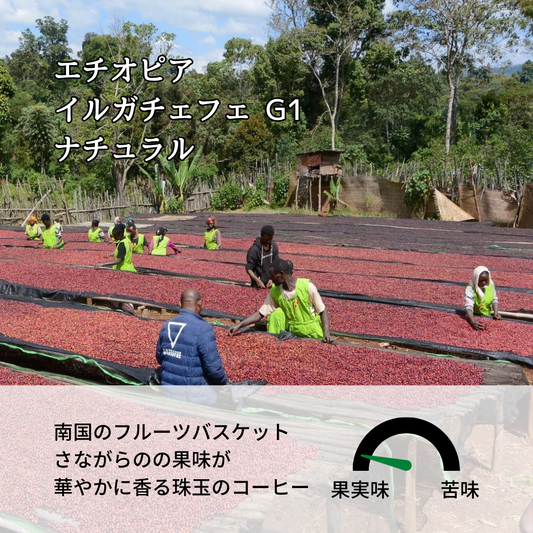 エチオピア イルガチェフ G1 ナチュラル ゲデブ ウォルカ