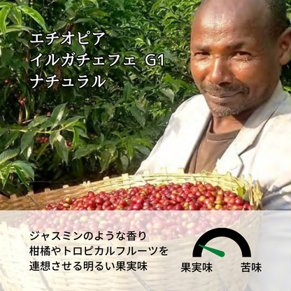 エチオピア イルガチェフェ G1 ナチュラル レゲッセ イディド