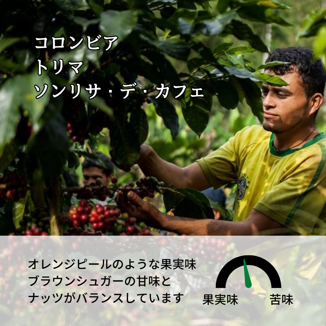 コロンビア トリマ ソンリサ・デ・カフェ A｜Botarhythm のスペシャルティコーヒー豆