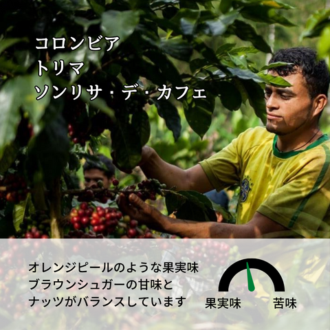 コロンビア トリマ ソンリサ・デ・カフェ A｜Botarhythm のスペシャルティコーヒー豆