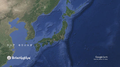 ケニア キリニャガ AB キイ ウォッシュド
