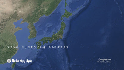 ブラジル ミナスゼライス カルモ農園 ナチュラル